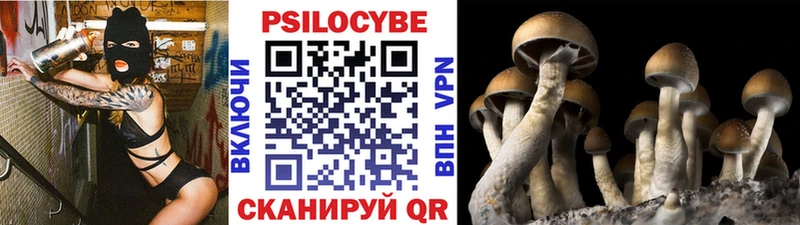 Купить  Кстово  Галлюциногенные грибы прущие грибы 